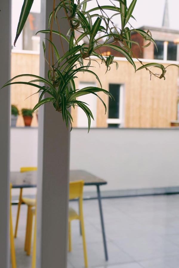 130Sqm Appartment With 20Sqm Terras And Free Parking Antverpy Exteriér fotografie